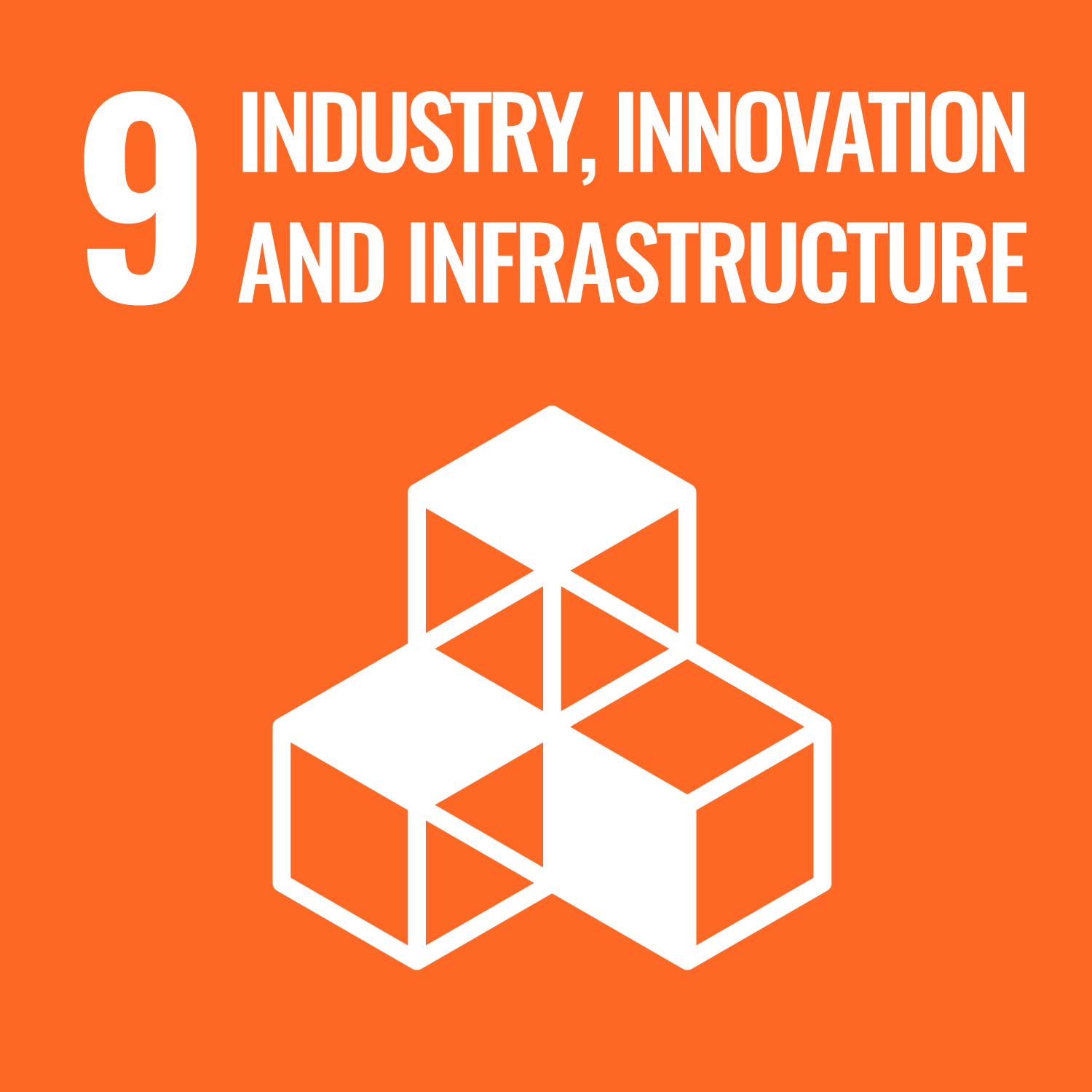 UN Global Goal 9