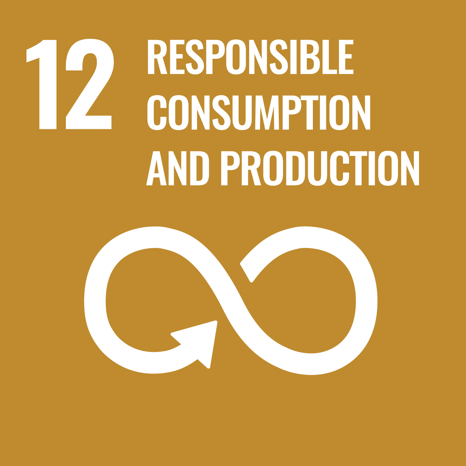 UN Global Goal 12