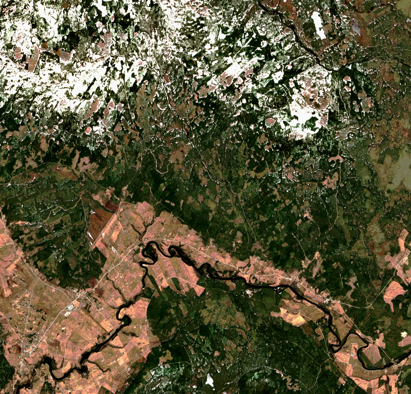 Modern Forestry